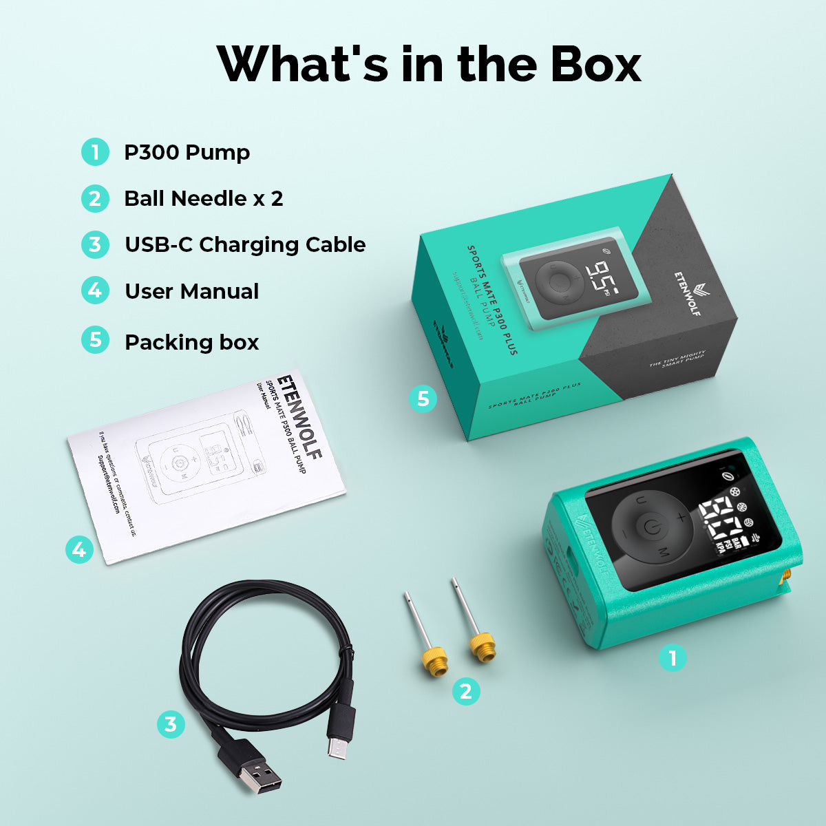 ETENWOLF P300 Electric Ball Pump with Gauge (what is in the box)